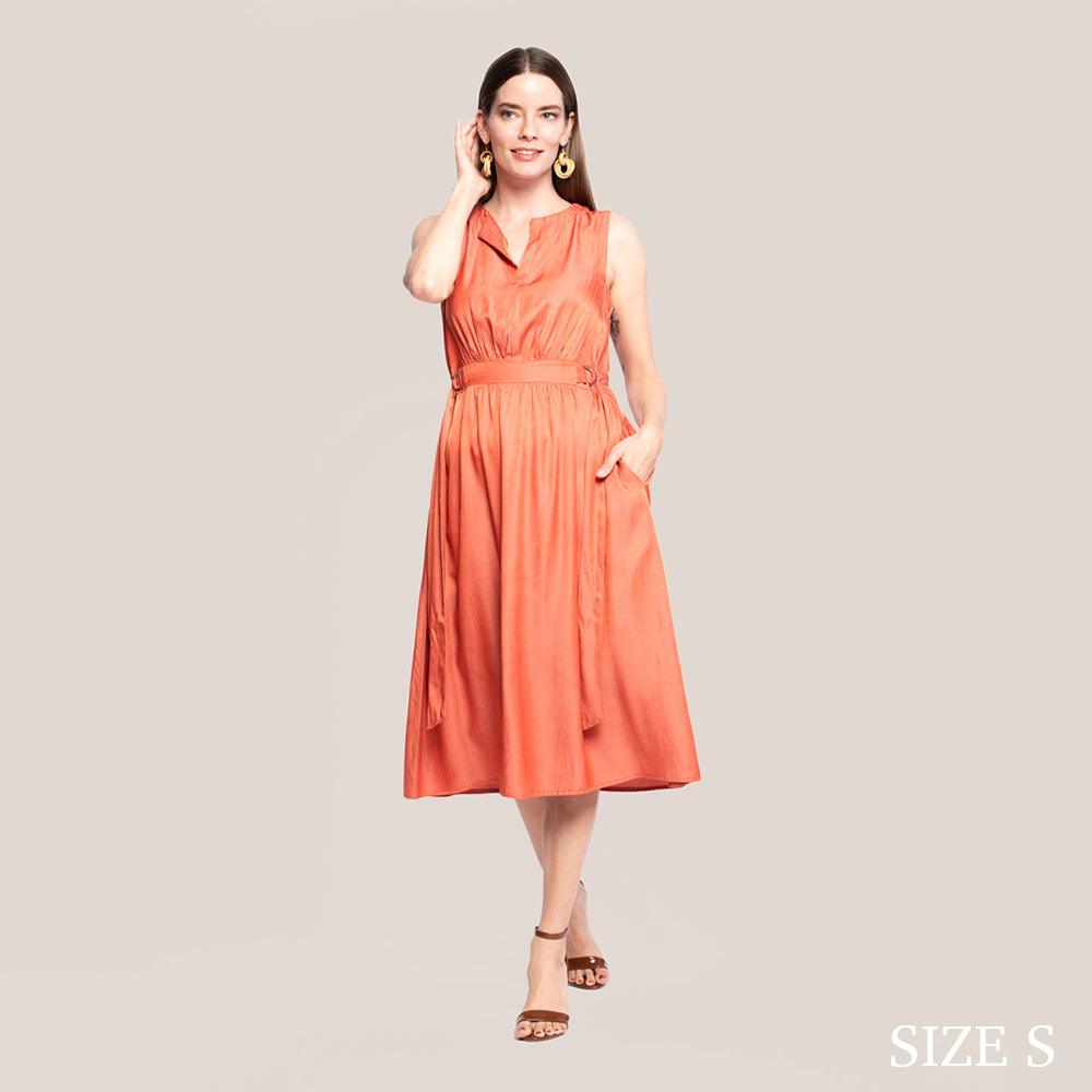 ROBYN SLIMMING DRESS - PUREED PUMPKIN